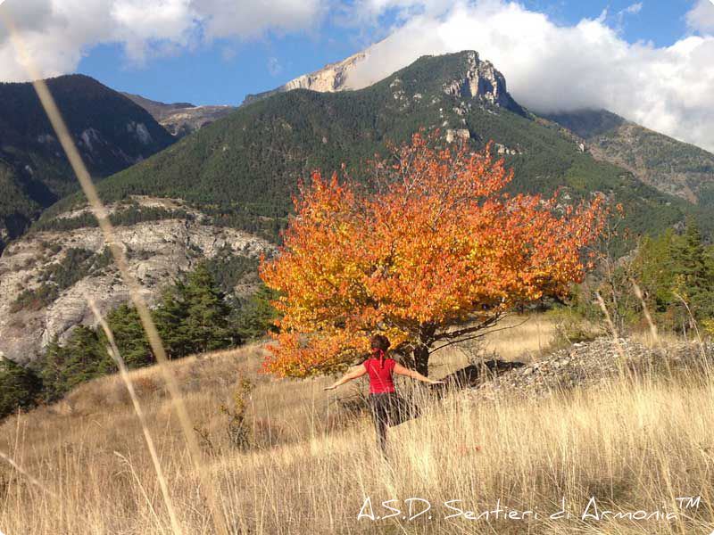 yoga autunno valledisusa