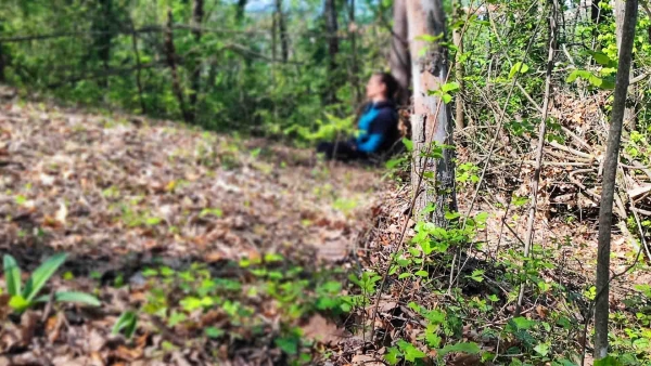 Ritrovare Se Stessi nella Natura: I Benefici Profondi di un Ritiro Intensivo di Meditazione